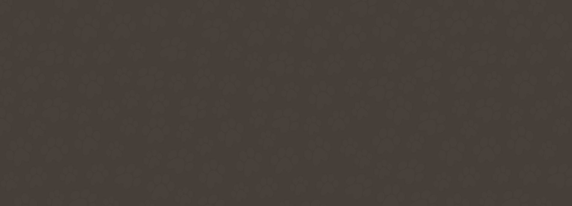 Paw background texture