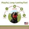 busybounce - amazon